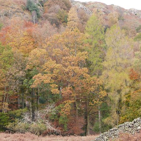 Beech Βίλα Ulverston Εξωτερικό φωτογραφία