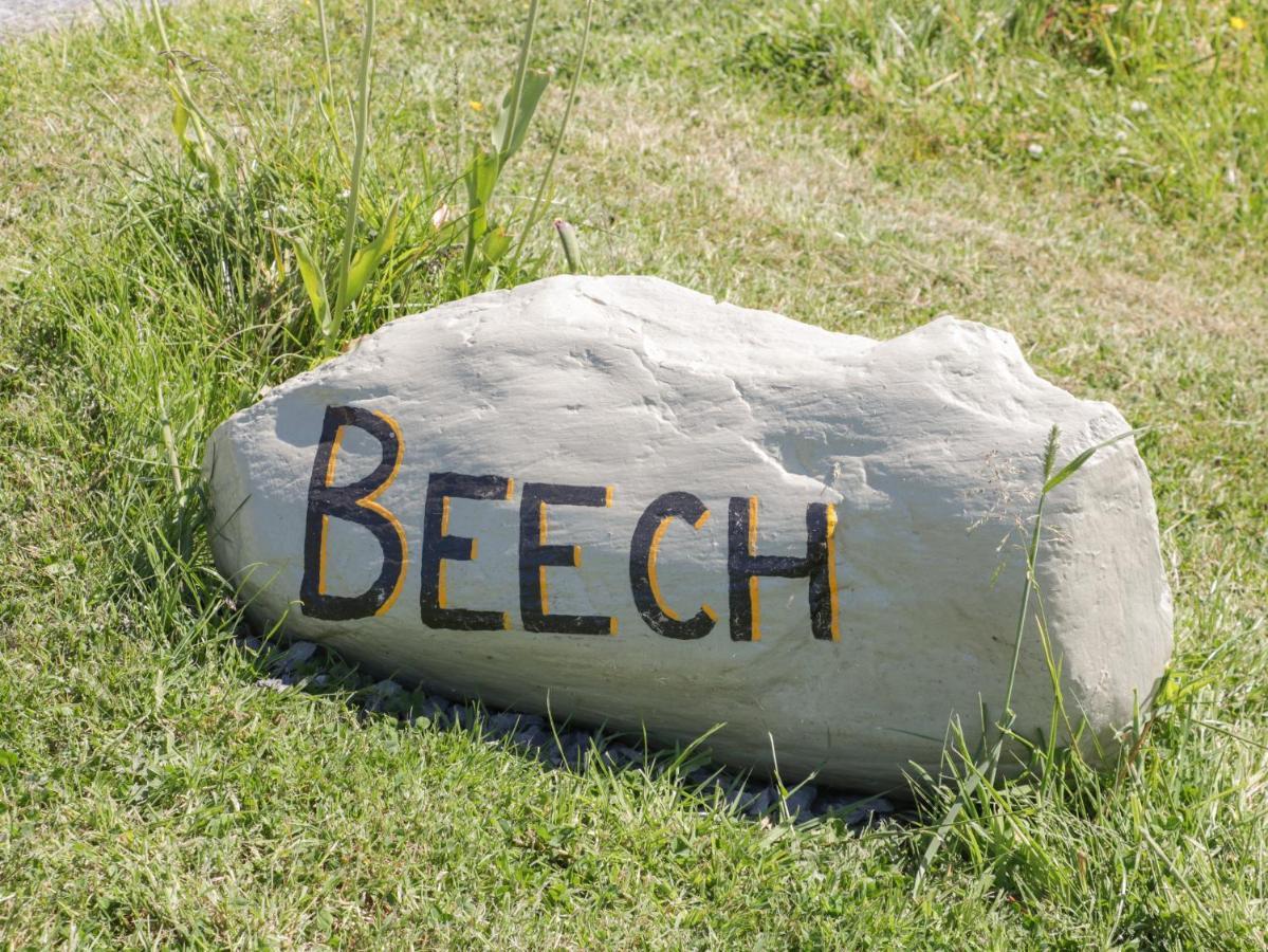 Beech Βίλα Ulverston Εξωτερικό φωτογραφία